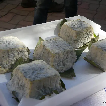 La Maison Des Hébergement de vacances Auzat